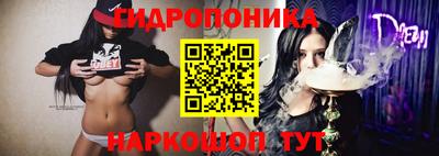 индика Кунгур